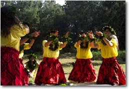 History of Hula | Ka`Imi Na`auao O Hawai`i Nei Institute